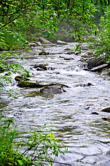 Image showing River Mountain 2