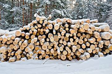 Image showing Timber on the snow in winter forest