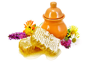 Image showing Honeycomb with pitcher and flowers