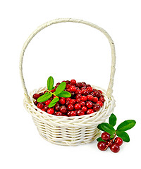 Image showing Lingonberry ripe in a white basket