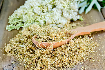 Image showing Herbal tea of meadowsweet on spoon