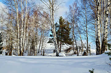 Image showing Winter landscape 2