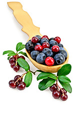 Image showing Blueberries and cowberry in a spoon with leaf