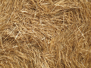 Image showing Close-up of a straw bale