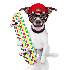 Image showing skater dog