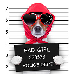 Image showing mugshot lady dog