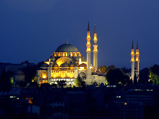 Image showing Sultans mosque