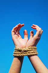 Image showing Hands tied up with rope