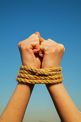 Image showing Hands tied up with rope
