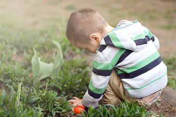 Image showing Little Boy With Easter Eggs