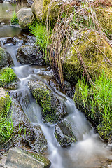 Image showing Falls on the small mountain river in a wood