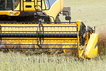 Image showing combine harvesting rape