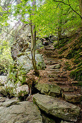 Image showing Stone staircase leading up