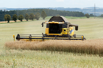 Image showing combine harvesting rape