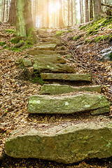 Image showing Stone staircase leading up with sunlight