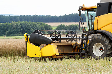 Image showing combine harvesting rape