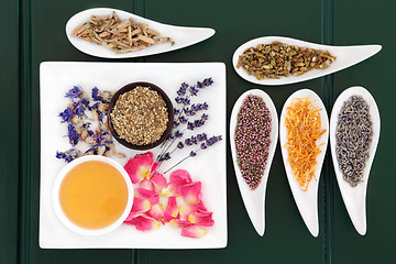 Image showing Herbal Medicine