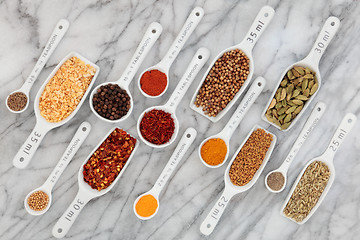 Image showing Spice and Herb Measurement