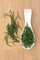 Image showing Samphire