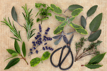 Image showing Kitchen Herbs