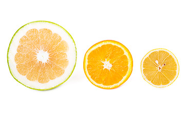 Image showing Sweetie, orange and lemon