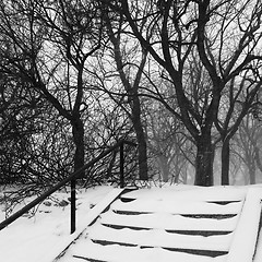Image showing Park during snowstorm
