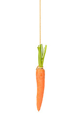 Image showing Carrot on String