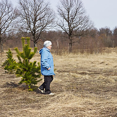 Image showing Mature woman walking in woods in spring