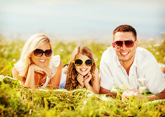 Image showing happy family with blue sky and green grass