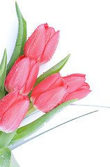 Image showing Spring Tulips