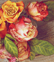 Image showing Withered Roses