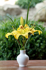 Image showing flowering yellow lily