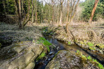 Image showing Falls on the small mountain river in a wood