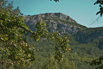 Image showing top of the canyon