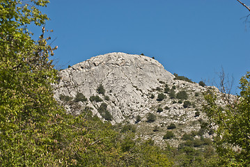 Image showing top of the canyon