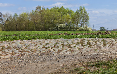 Image showing Cobbelstone Road