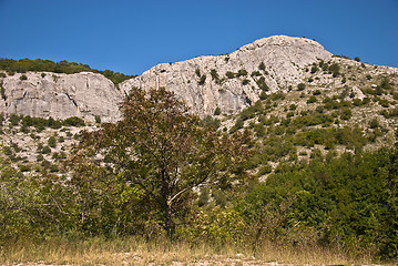 Image showing top of the canyon