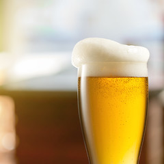 Image showing Glass of light beer in pub