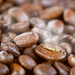 Image showing Roasted coffee beans with steam