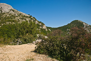 Image showing observation platform 