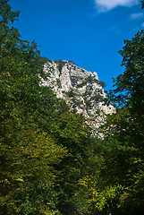 Image showing top of the canyon