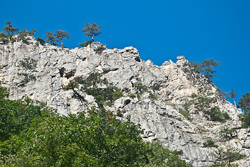 Image showing top of the canyon