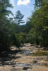 Image showing river Auzun-Uzeni