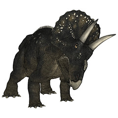 Image showing Dinosaur Diceratops