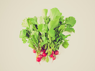 Image showing Retro look Radish vegetables