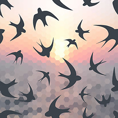 Image showing Hexagon background and swallow silhouette