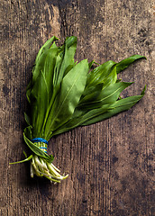 Image showing fresh green ramson leaves