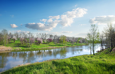 Image showing Beautiful river