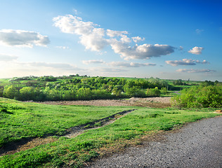 Image showing Road and forest