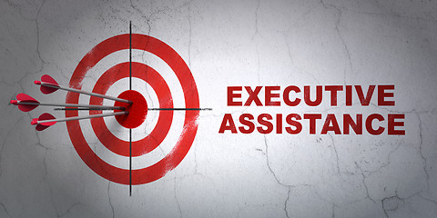 Image showing Finance concept: target and Executive Assistance on wall background